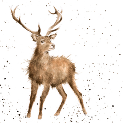 Wrendale Greetings Card - Wild At Heart
